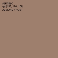 #9E7E6C - Almond Frost Color Image
